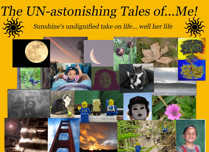 The Un-astonishing Tales of... Me
