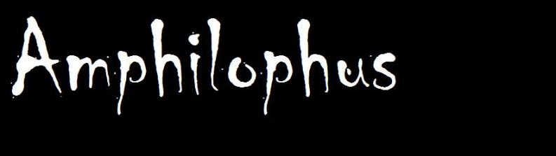 Amphilophus...