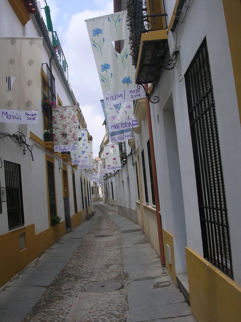 [DSCN9288.JPG]