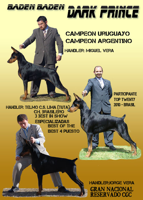 BADEN BADEN DARK PRINCE 2009