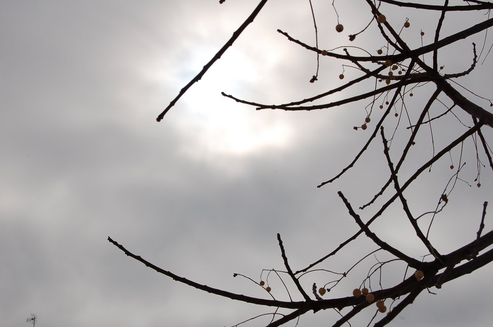 [DSC_6180.JPG]
