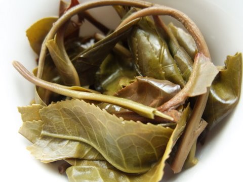 [DSCF0210.JPG]