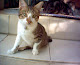 My photo