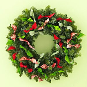 Funny Mr Bean Video Clips