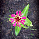 My photo