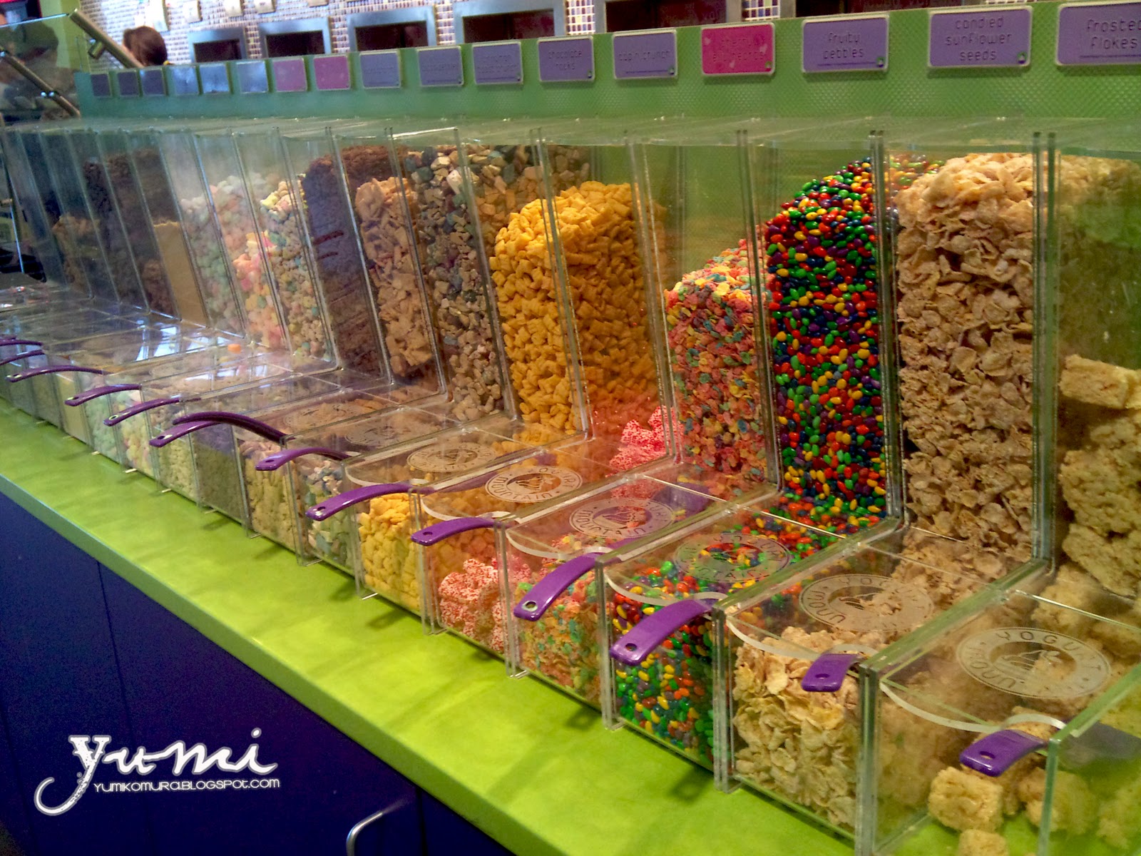 Yumiko's Blog Yogurt Mountain & Update