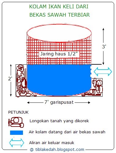 Usahawan forex blogspot