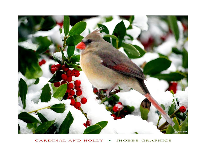 Cardinal and Holly