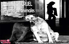 ¡PAREMOS EL CRUEL