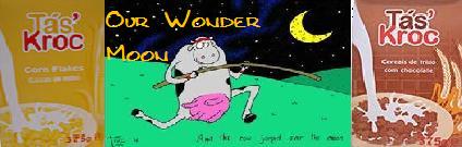 Our Wonder Moon