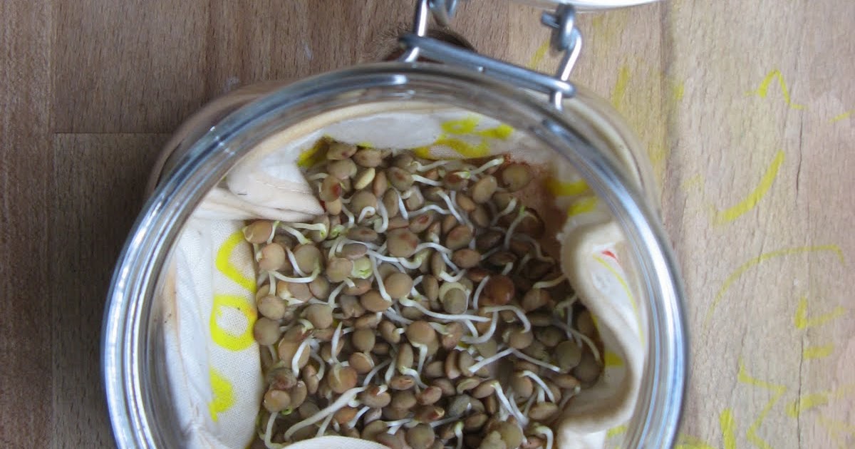 My Mama Day: How to grow lentils