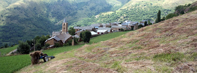 Llessui a la Vall d'Assuà