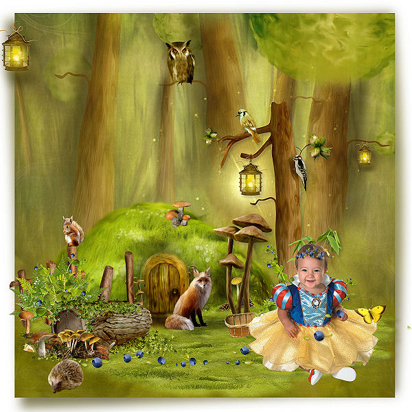 fantasy forest story stardust fantasy forest story stardust