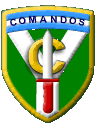 Compañia de Comandos 602