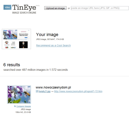 TinEye searches for your image