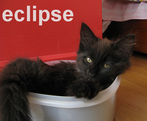 [eclipse.jpg]