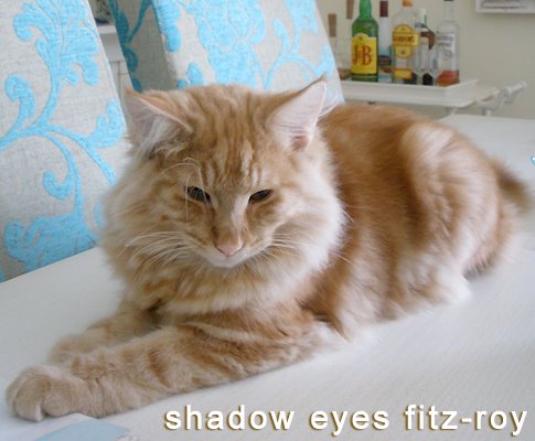 [fitz2.jpg]