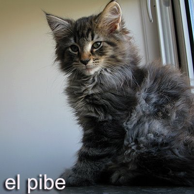 [pibe.jpg]