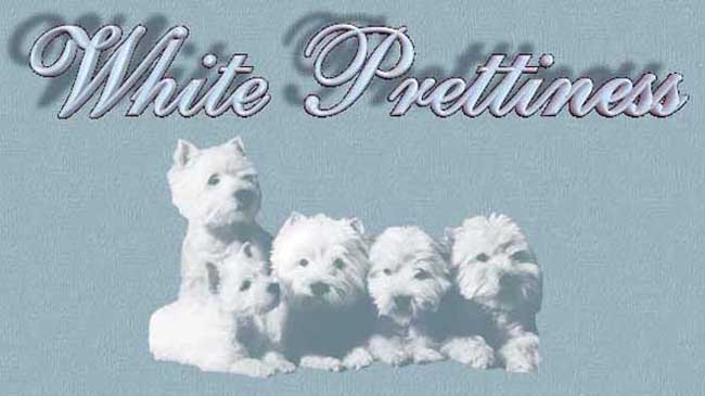 "White Prettiness" Westies