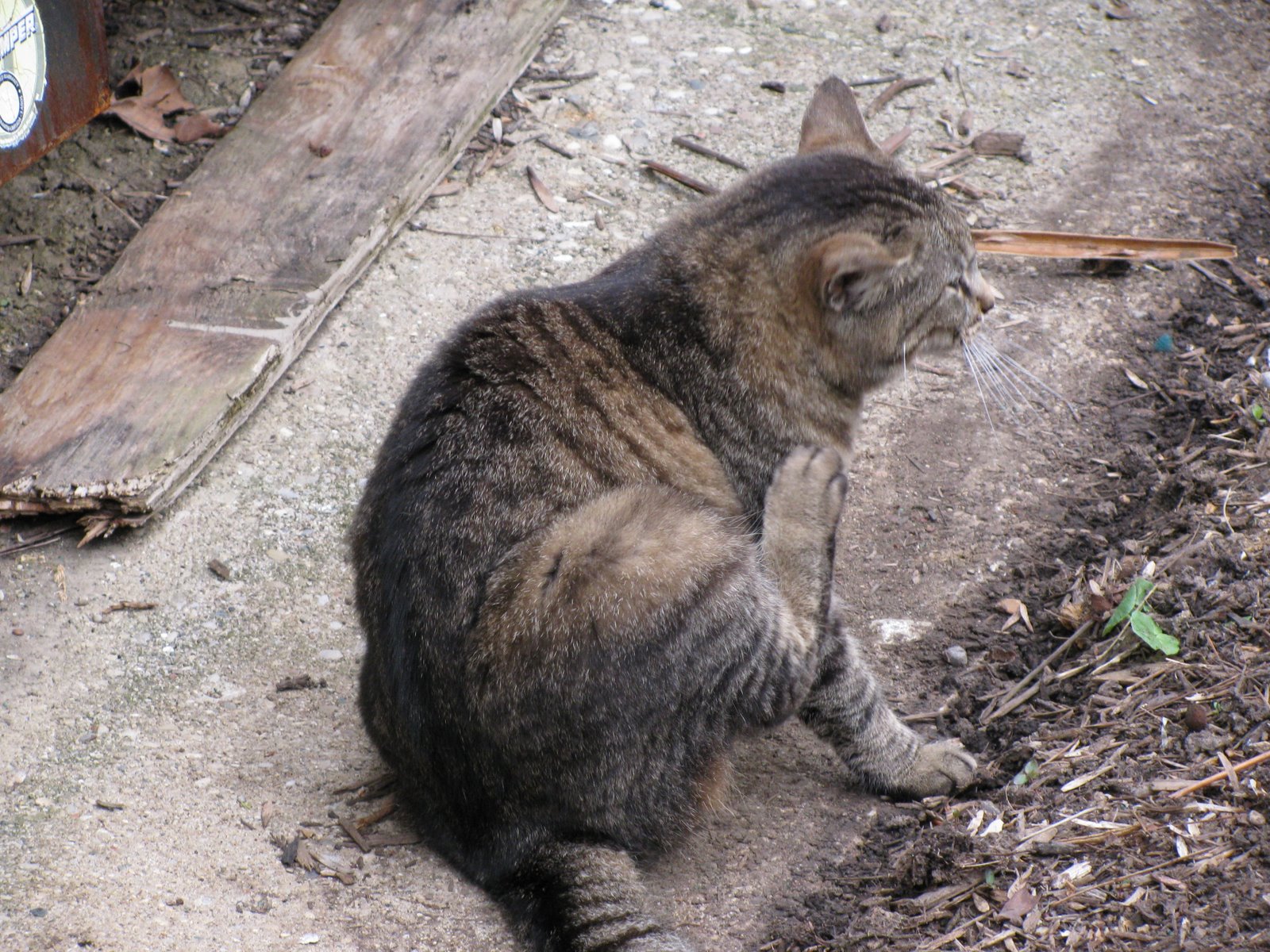 [IMG_0217.JPG]