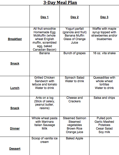 Teenage Athletic Diet Day 1