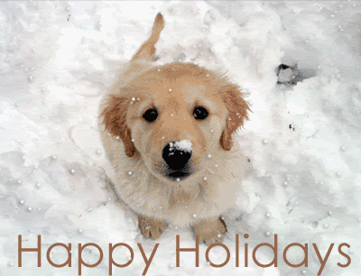 Year Puppy Wallpapers with