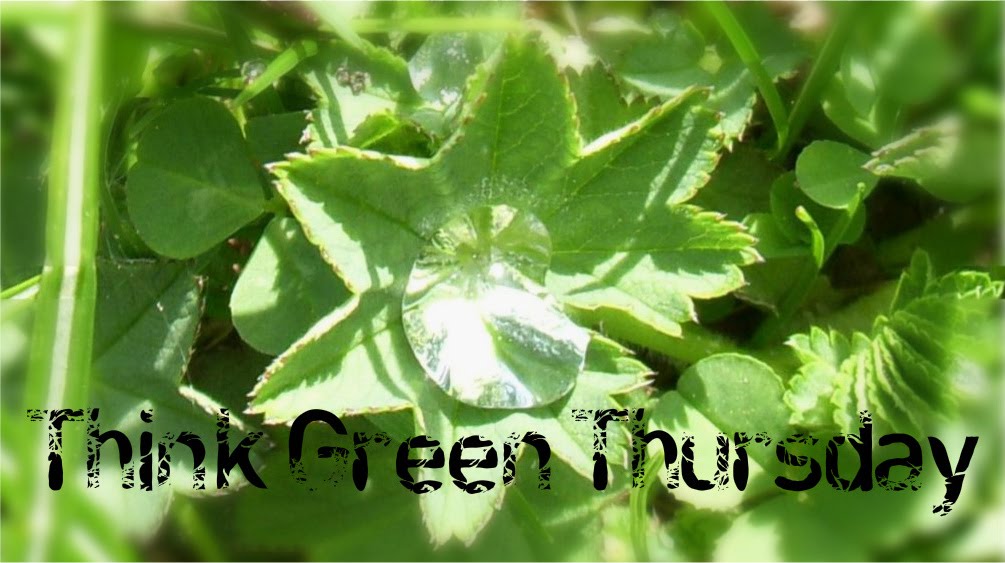 [ThinkGreenThursday-1.jpg]