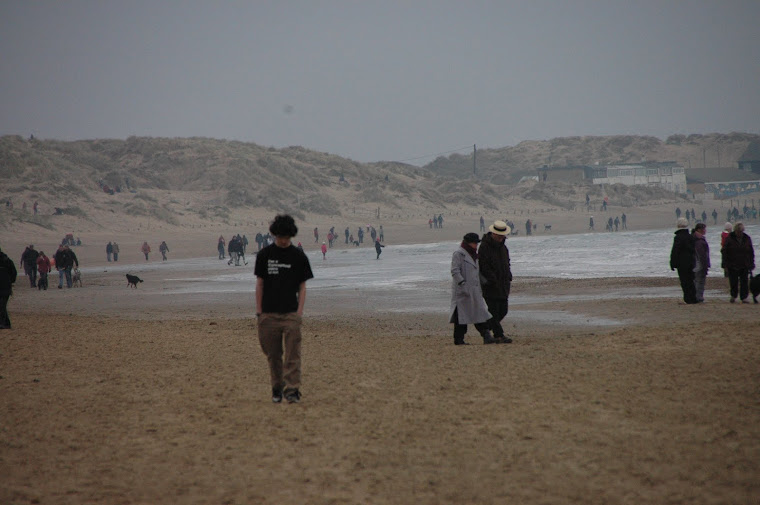 New Years Day, Camber