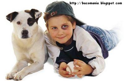 [almagemea06BUC.JPG]