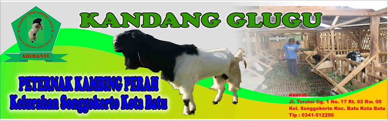 KANDANG GLUGU