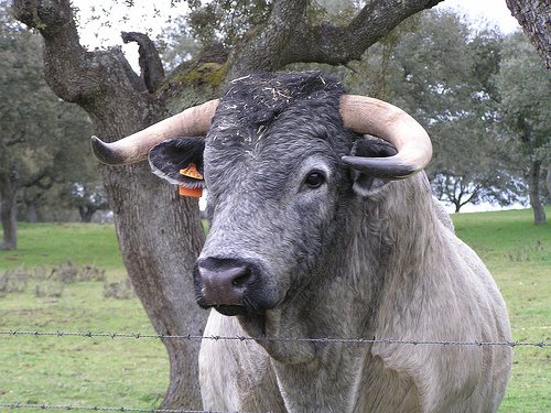 [118302484_2809326fb3.jpg]