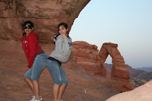 the delicate arch