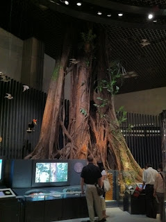 国立科学博物館の地球館、熱帯雨林