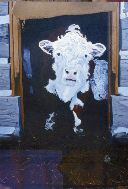 Yearling Bull,Cassburn Farms ,1989