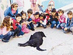 PROFESORA Y ALUMNOS GOZAN AGONIA DE PERRO AL CUAL ENVENENARON