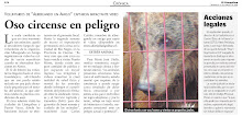 Denuncia Por Maltrato animal