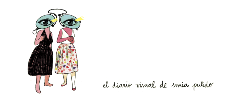 el diario visual de sonia pulido