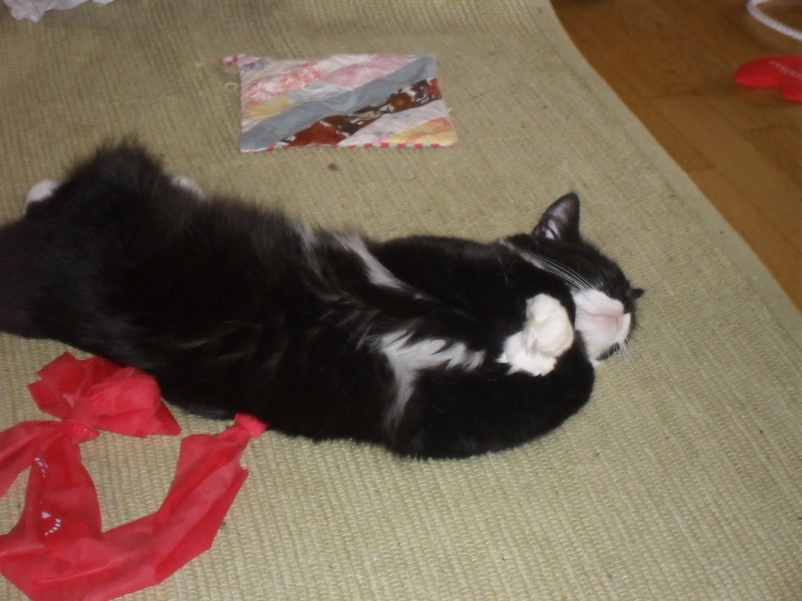 dejtat 3 månader alvedon