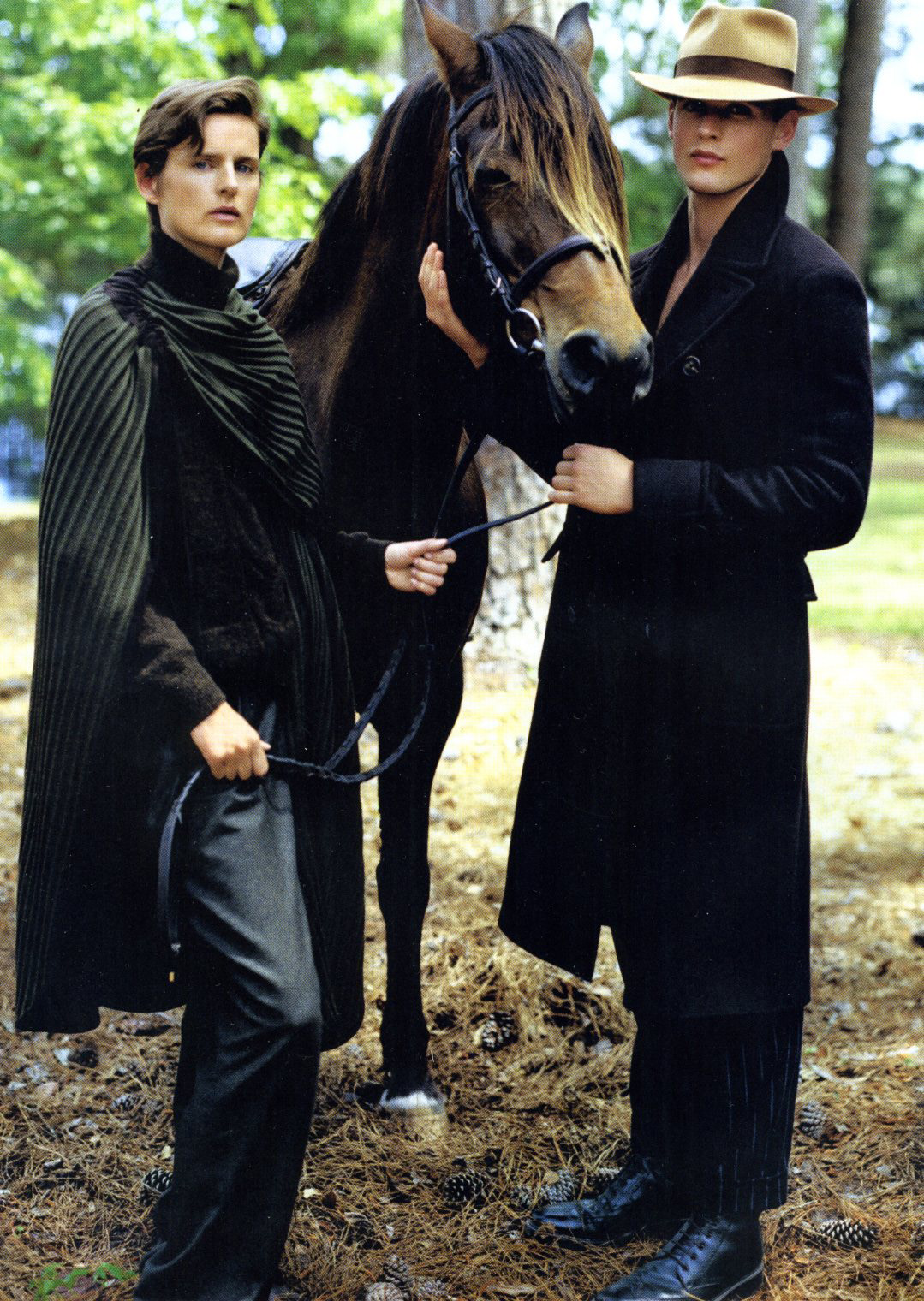 animal kingdom horse