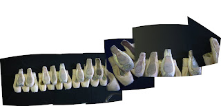 Bradfield Senior College