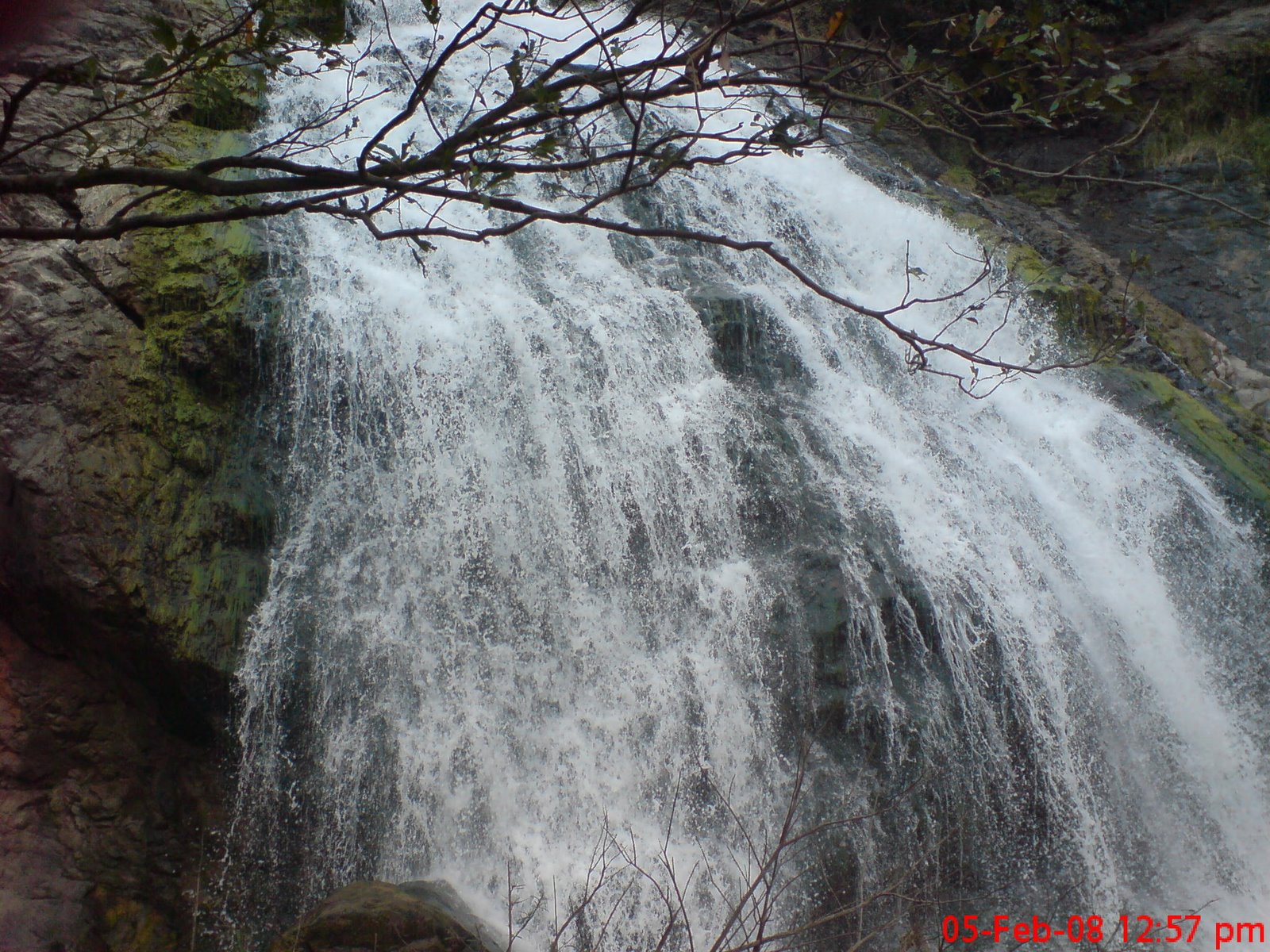 [DSC00076.JPG]
