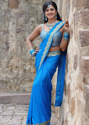 actress vimala raman in saree photos+123actressphotosgallery.com