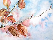 Herfsttak met sneeuw (te koop)