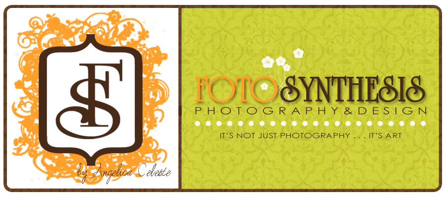 Fotosynthesis Photography