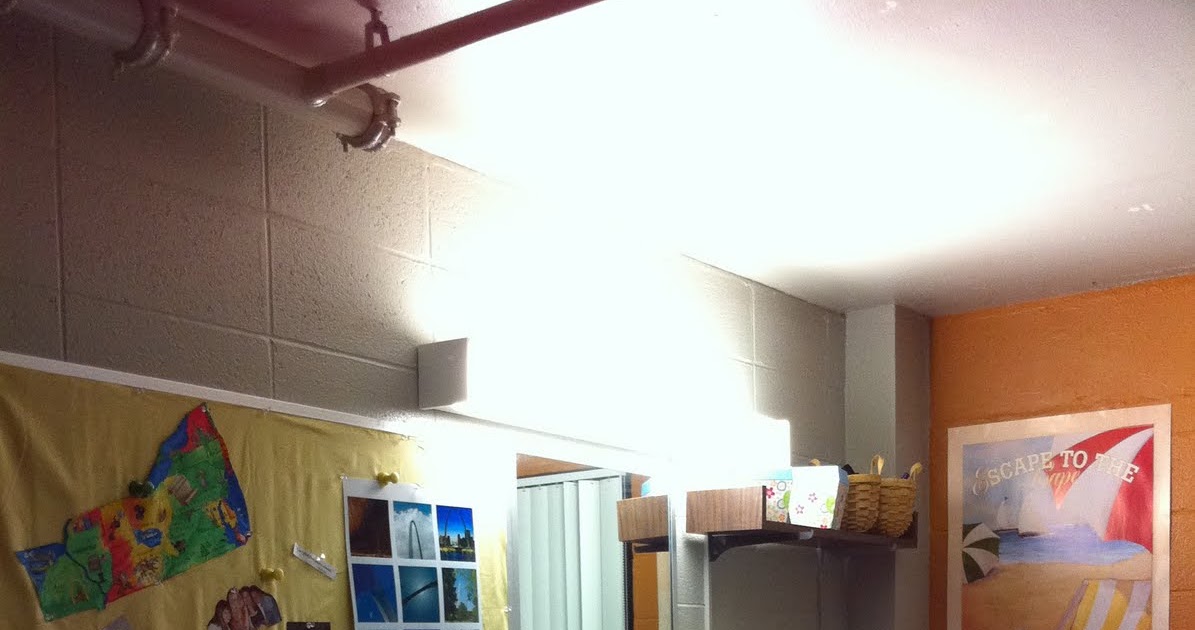  a day in the life of a bonnie Choosing Bonaventure