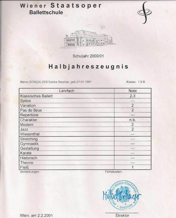 HISTÓRICO DO PROFESSOR STEPHAN