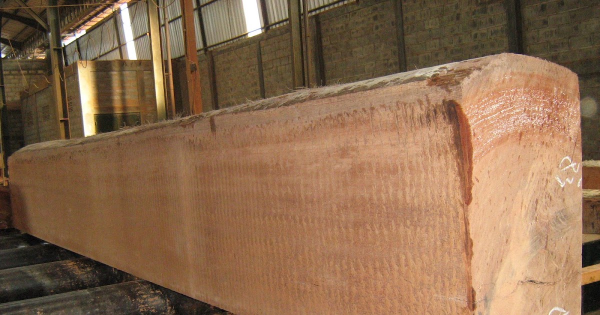 WOOD KERUING ( Dipterocarpaceae ) Gurjun, Dau, Keroeing, Mai Nhang, Mai sat, Keruing bajak