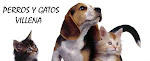 TE GUSTAN LOS ANIMALES