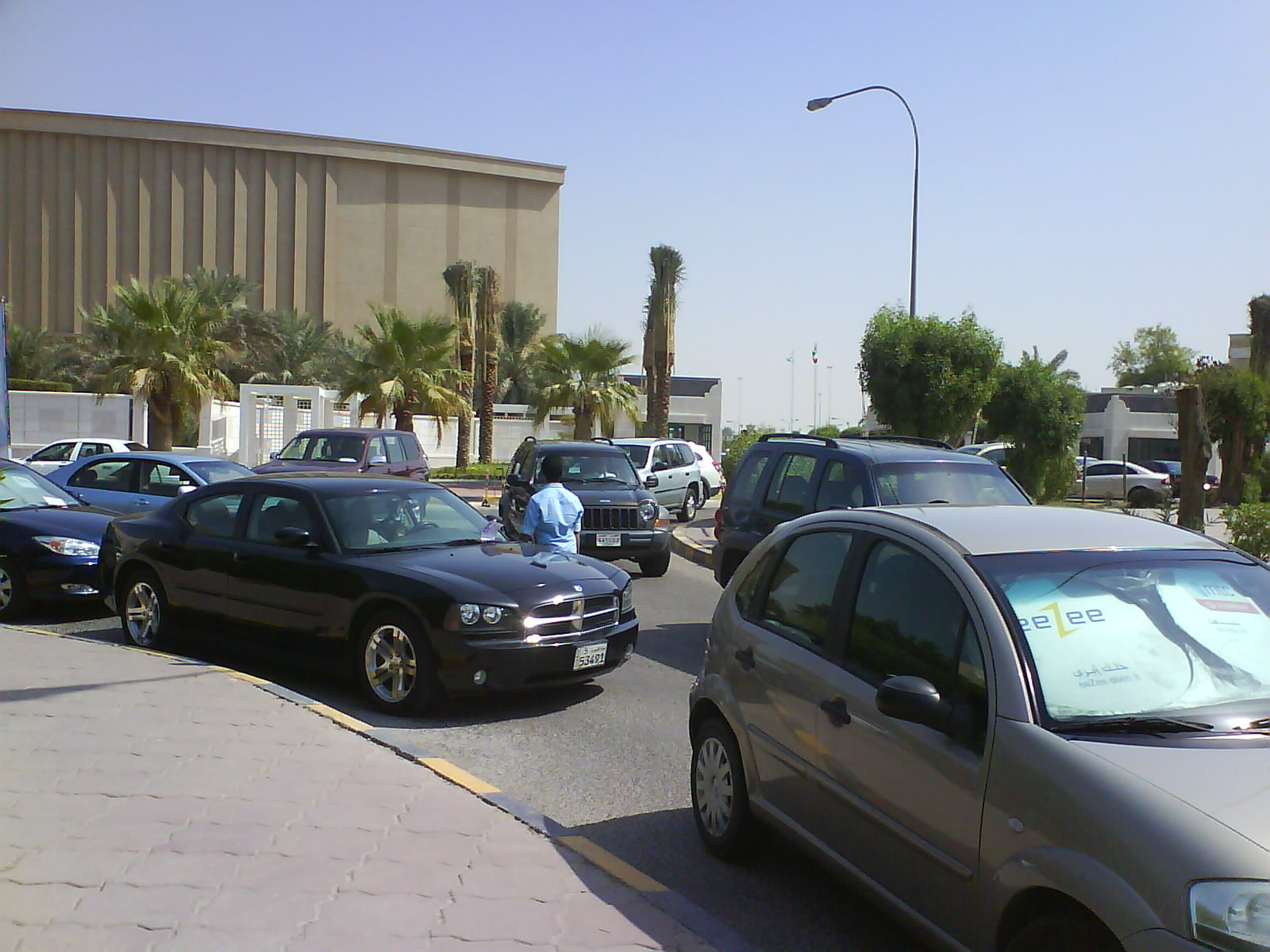 [DSC00717.JPG]