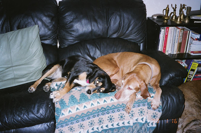 Nell and Maya Take a Nap